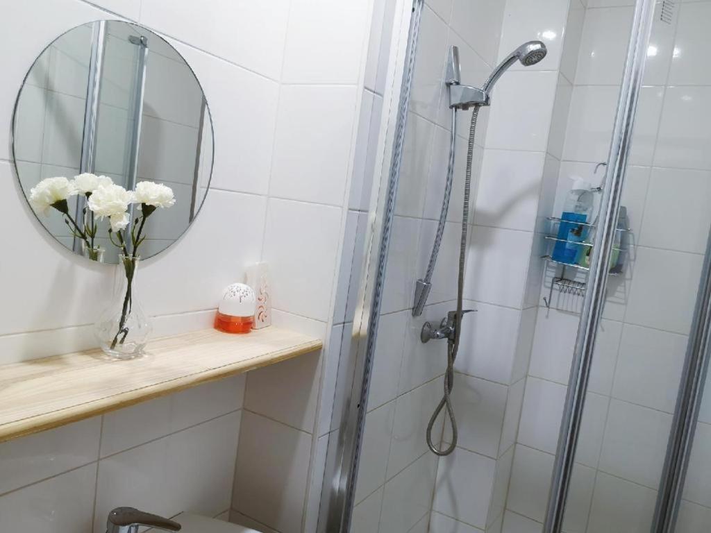 Séjour chez l'habitant Cozy With Share The Bathroom And Kitchen *